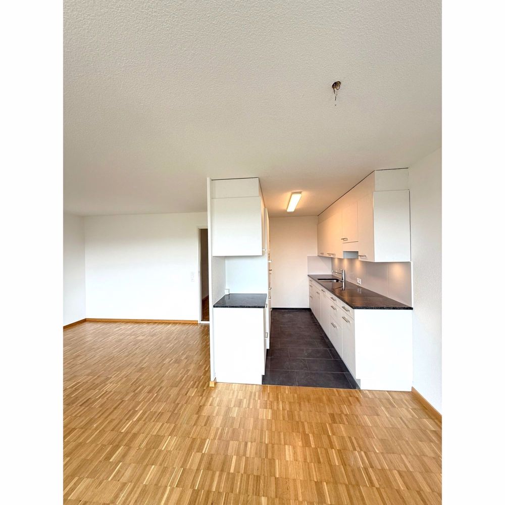 Erstvermietung nach Totalsanierung! 3.5-Zimmerwohnung sucht Mieter - Küche II