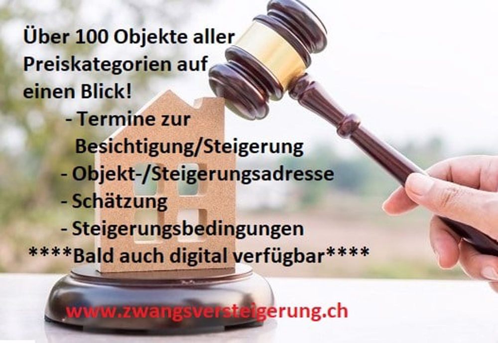 *4,5-Zimmer-Wohunung mit 2 Einstellhallenplätzen* - Bild 7