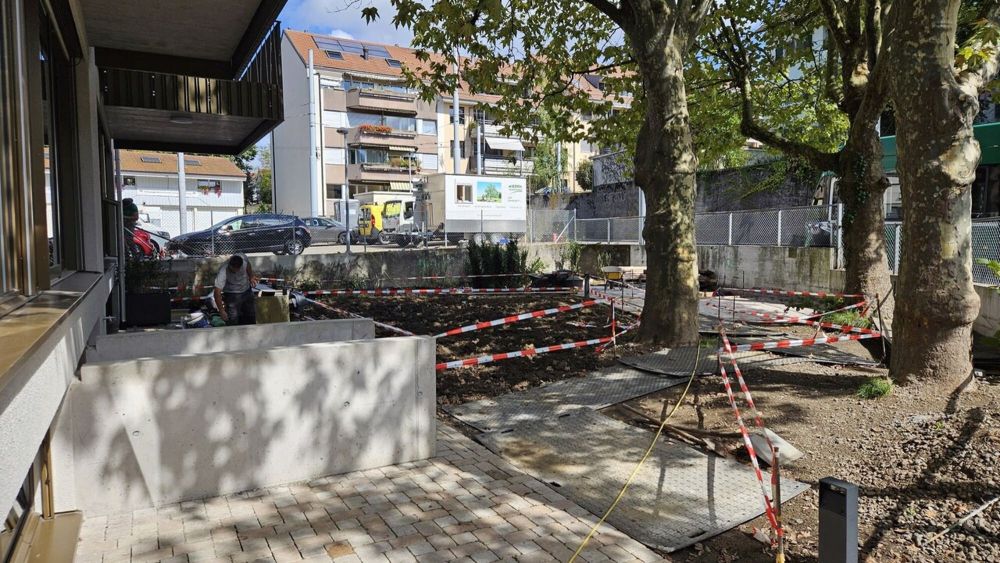 Moderne 5.5-Zi. Gartenwohnung nahe Tramstation Riehen - Bild 1