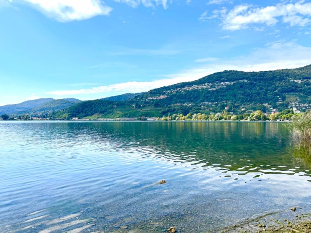 Esclusivo appartamento 3.5 locali con vista lago ad Agno, TI - Immobile di nuova costruzione - Bild 6