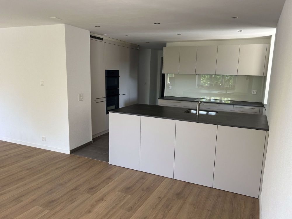 Erstvermietung: Hochwertig sanierte 3-Zimmer-Wohnung mit Garten, Sitzplätzen & Carport in Rüttenen (SO) - Küche_3