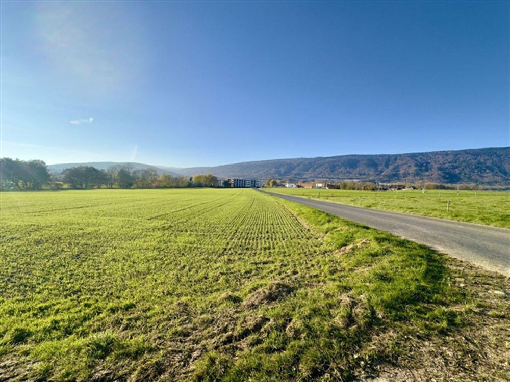 Wunderschöne 4.5 Zimmerwohnung im 1. Stock - Lot B - Bild 1