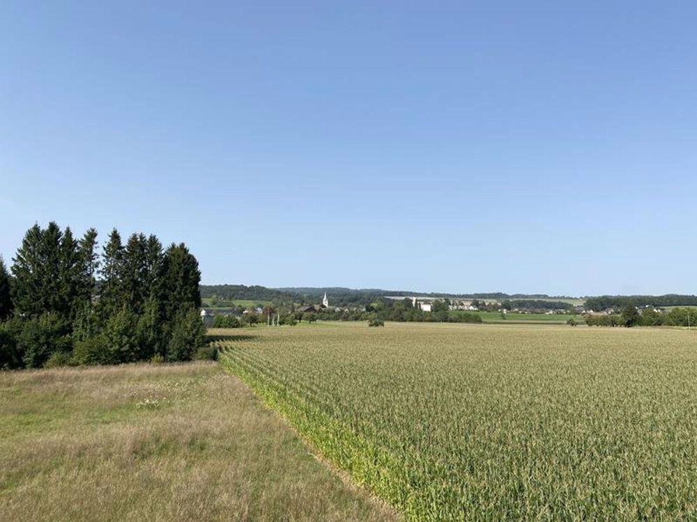 Jetzt den Traum verwirklichen - Eigenheim erwerben in Müllheim (H-A) - Bild 4