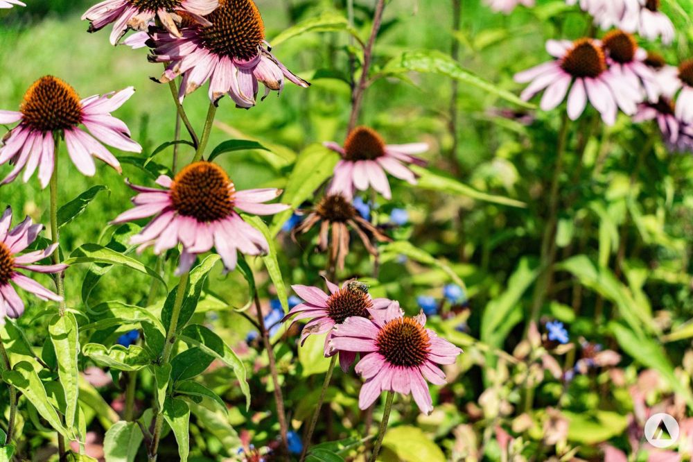 reblodge - Architektonisch hochwertige Eigentumswohnung - Bild 7