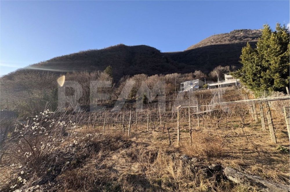 2.5 Room apartment - Bild 12