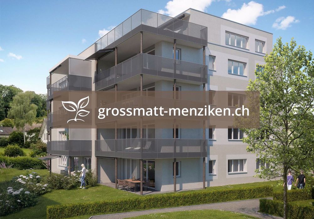 3.5 Zimmerwohnung in Menziken - Bild 1