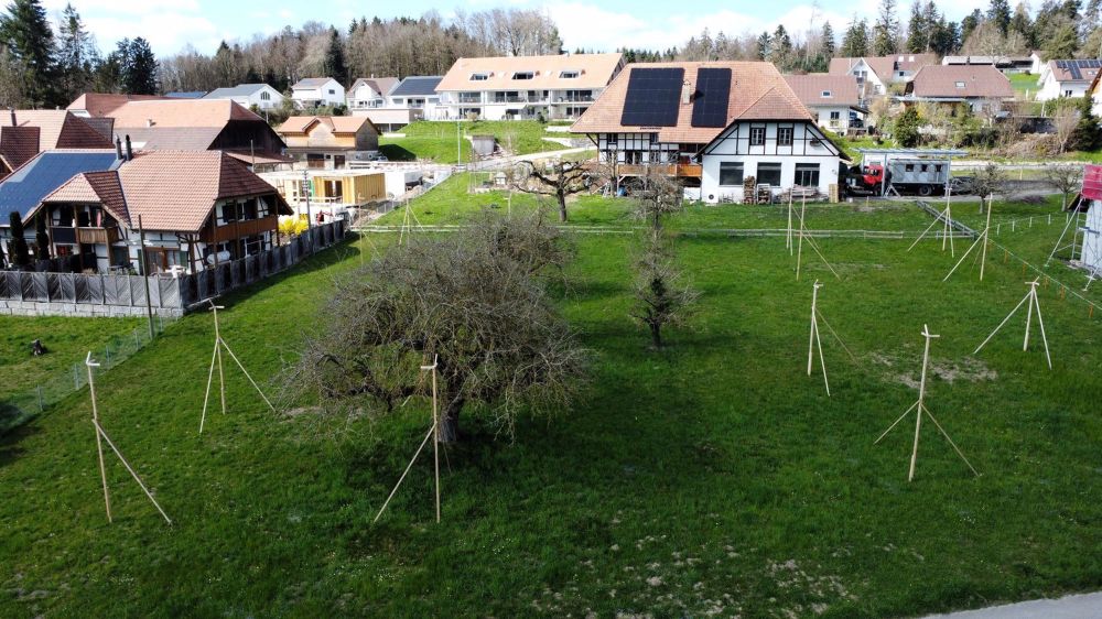 Ihr neues Zuhause im Grünen – Moderne Einfamilienhäuser im Buechibärg - Bild 3