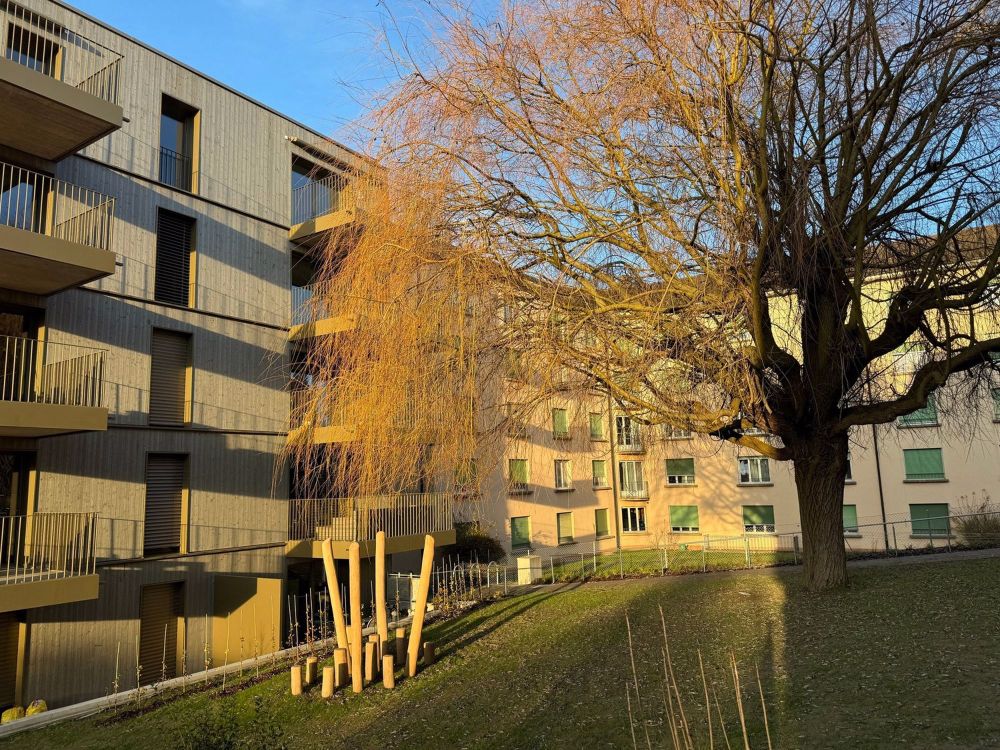 3,5 Zimmer neu verfügbar ab sofort -35'000.- angeboten bis 10.10.25 - Bild 9