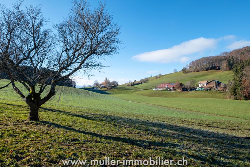 Charmanter Bauernhof mit Renovierung - zwischen Natur und Moderne! - Bild 11