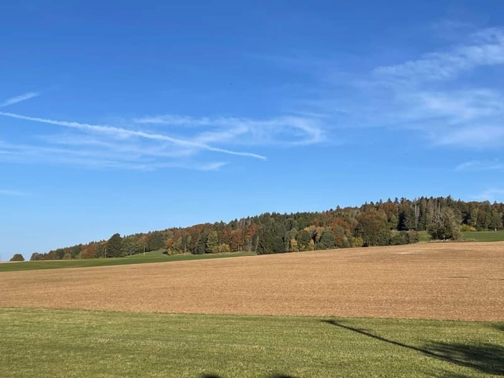 Traumhafte, maßgeschneiderte Lofts, hell und in einer friedlichen Umgebung - Bild 8