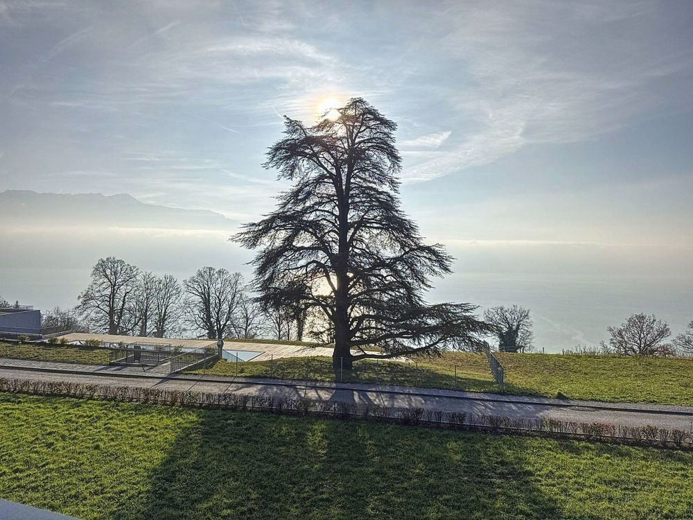 Wohnung mit 3,5 Zimmern - Bild 2