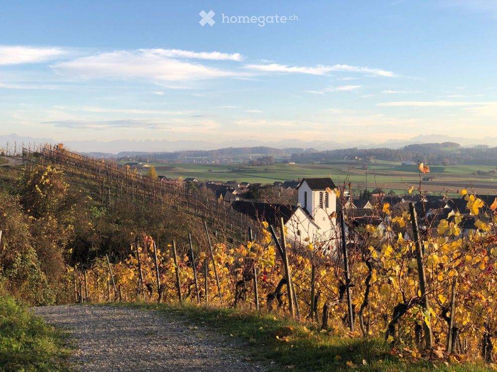 Moderne 2.5-Zimmer-Neubau-Wohnung an bester, ruhiger Lage am Rebhang in Stammheim - Bild 1