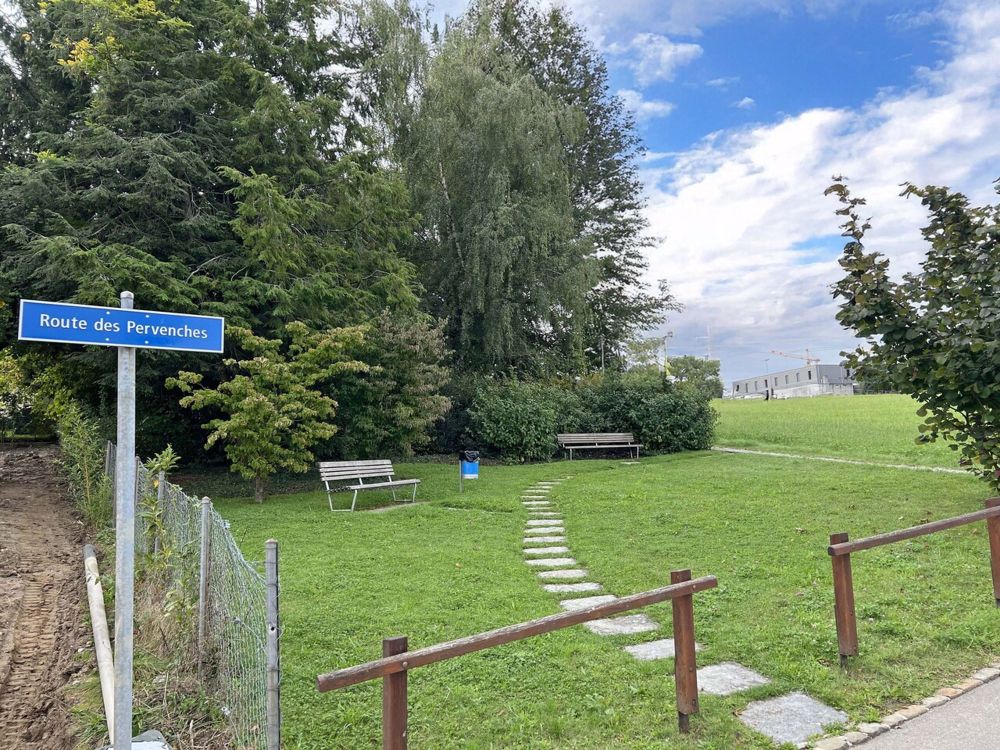 Neue Promotion in Freiburg! 2.5, 4.5 und 6.5 Zimmer Wohnungen - Espace vert communal à la fin de la route des Pervenches
