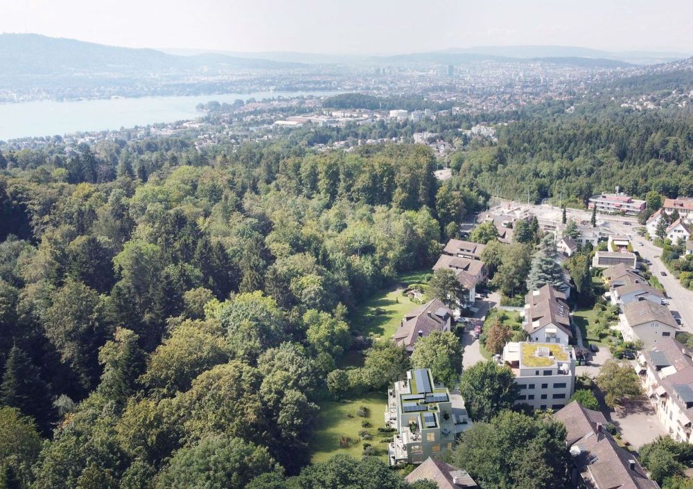 Pirol - Der Neubau am Waldrand - Bild 2