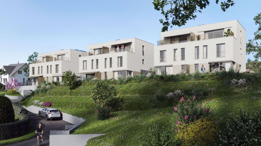 trio - Neubau 3 Doppeleinfamilienhäuser in Neuenegg - Bild 1