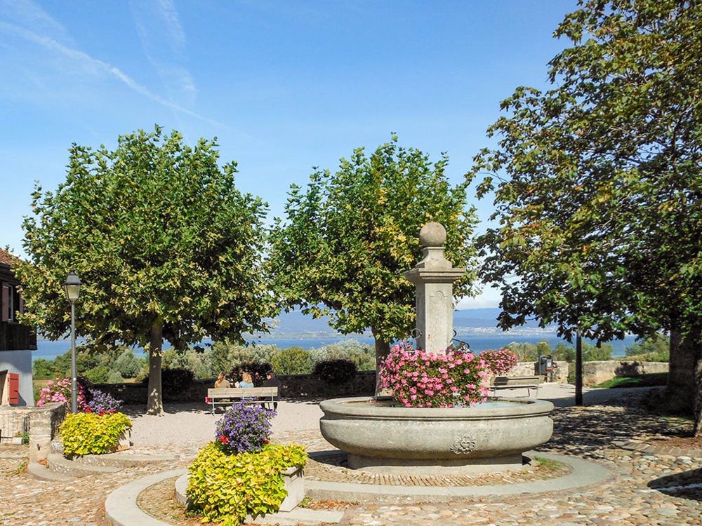 ESTAVAYER-LE-LAC - APPARTEMENT NEUF AVEC BEAUCOUP DE CACHET - Bild 2