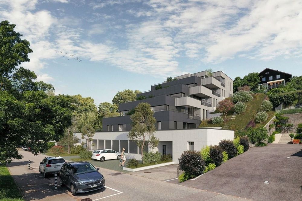 ERSTVERMIETUNG! Neubau-Mietwohnungen im Terrassenhaus in Sissach! - Aussenansicht_1.jpg