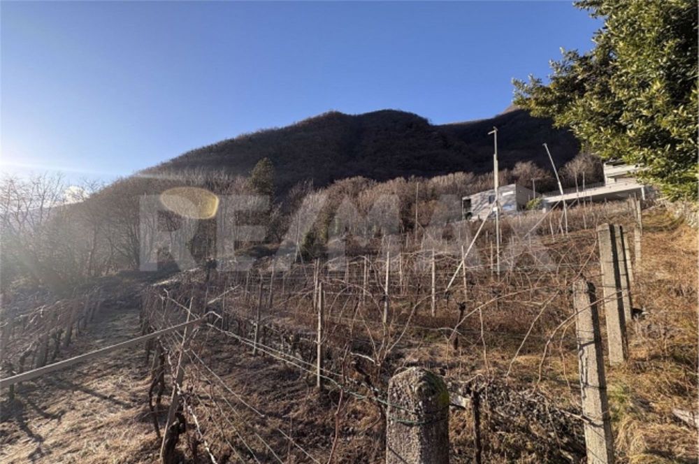 2.5 Room apartment - Bild 11