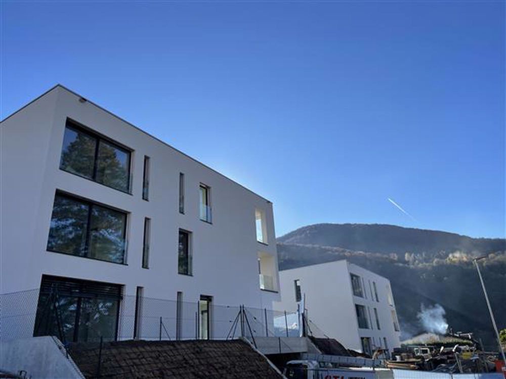 Molinazzo di Monteggio: Appartamento 2.5 locali - Esterno