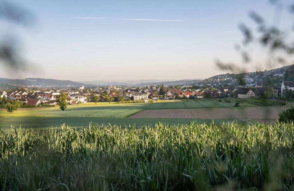 Grosszügige 3.5-Zimmer-Wohnung mit Laube und Weitblick - Bild 6