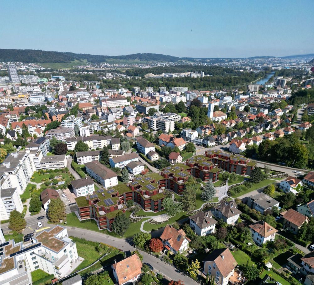 2.5-Zimmer-Neubau-Wohnung in Dietikon - Bild 4