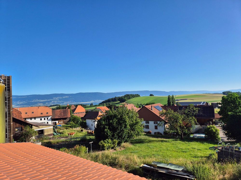 Magnifique appartement de 3,5 pièces avec terrasse à Démoret - Bild 9