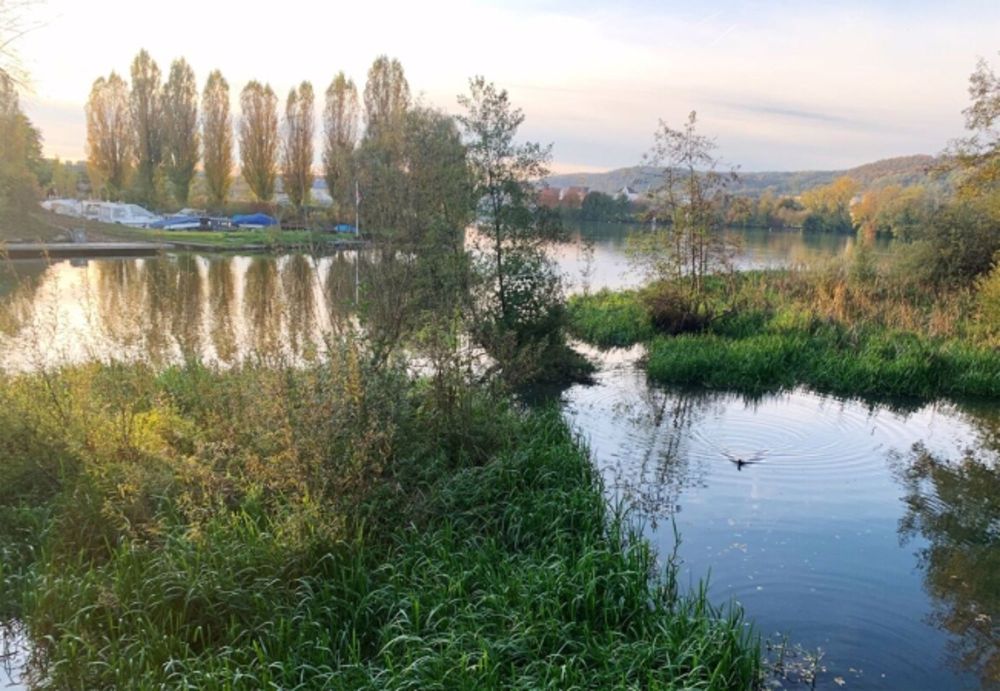 Grosszügige Dachwohnungen mit zwei Terrassen + schönem Ausblick - Bild 11