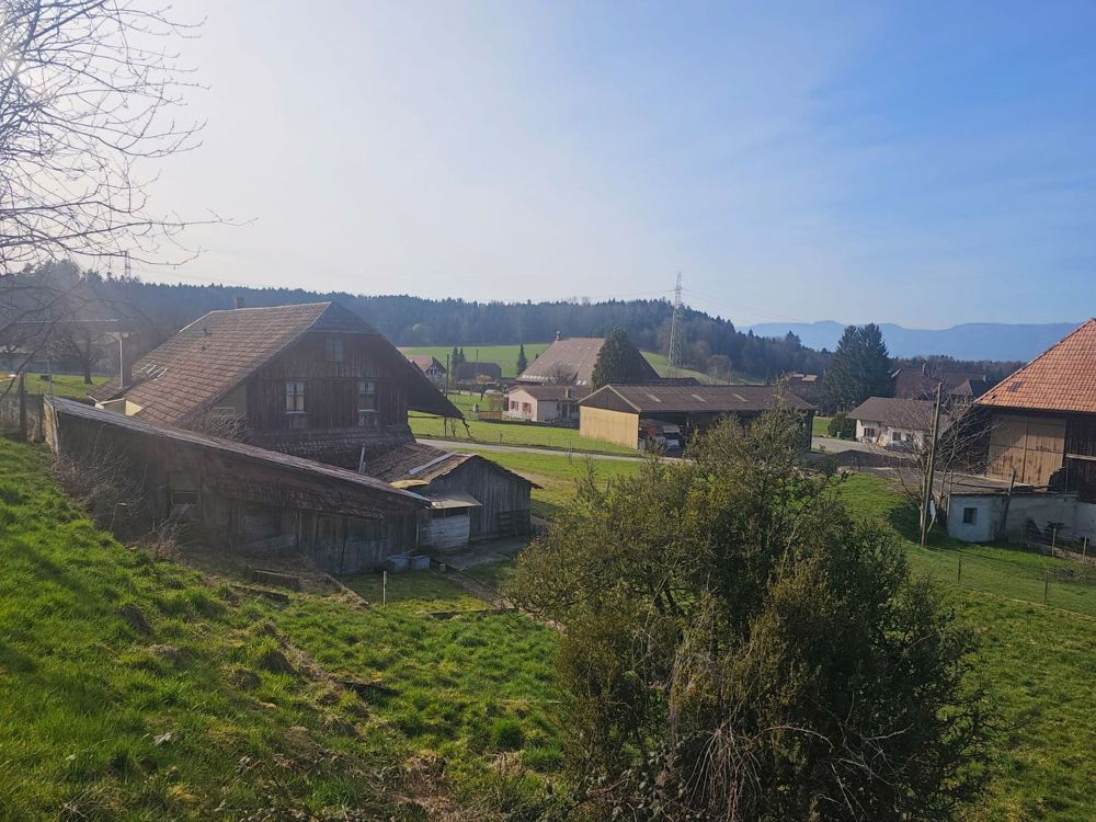 Wohntraum an ruhiger Lage | vier freistehende EFH - Bild 3