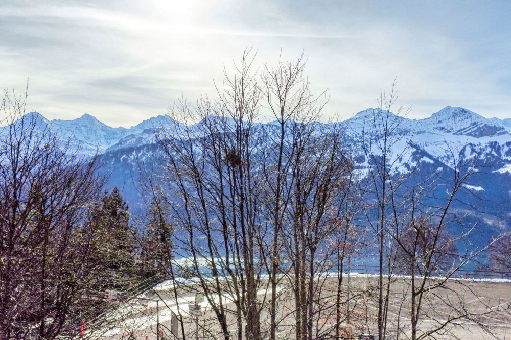Neubau 6½-Zimmer-Einfamilienhaus mit herrlichem Ausblick auf Eiger, Mönch und Jungfrau - Bild 4