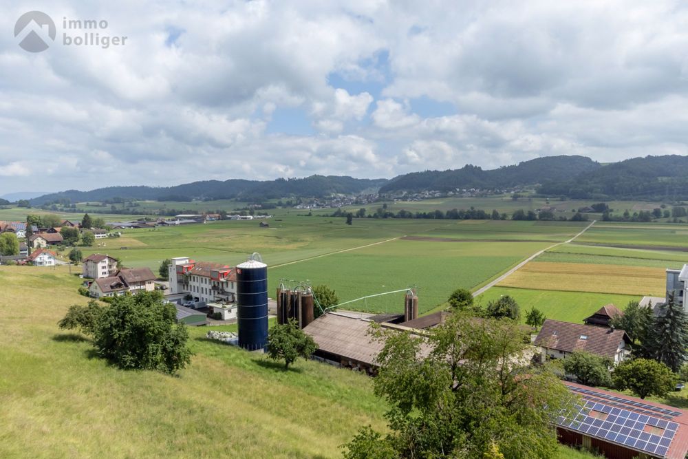Baubewilligtes Neubauprojekt in ökologischer Holzbauweise - Aussicht
