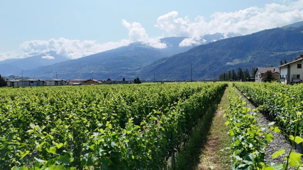 Ihre Villa in Vétroz: Werden Sie Eigentümer Ihrer individuellen Villa in Vétroz ab CHF 768.- pro Monat* - Bild 1