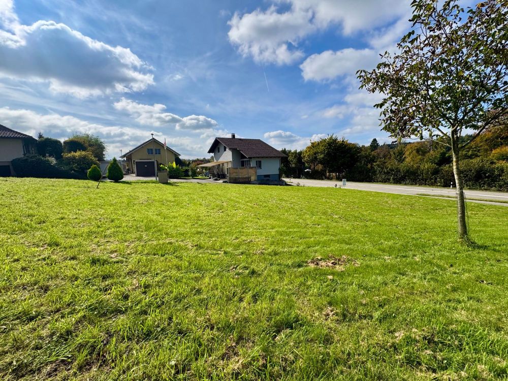 Attraktive Liegenschaft mit Entwicklungspotenzial in Murgenthal! - Bild 2