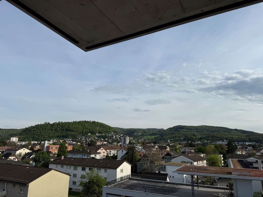 3 ½ Zimmer-Wohnung in Muttenz mieten - Bild 1
