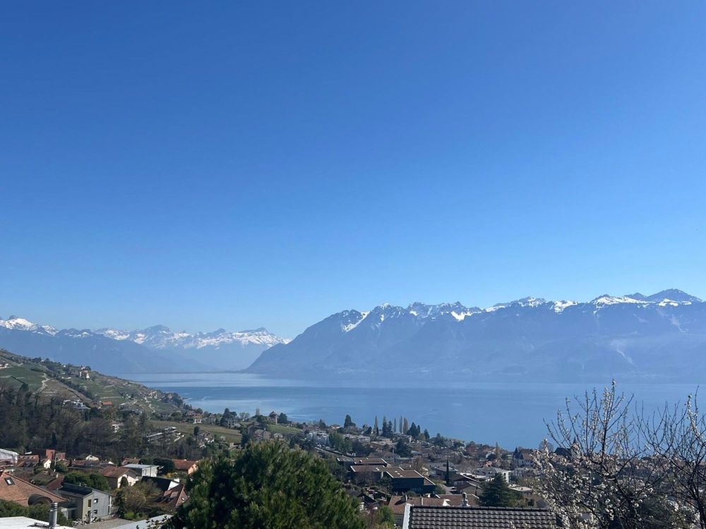 Villa in Lutry mit atemberaubendem Blick auf den See und die Berge - Bild 7