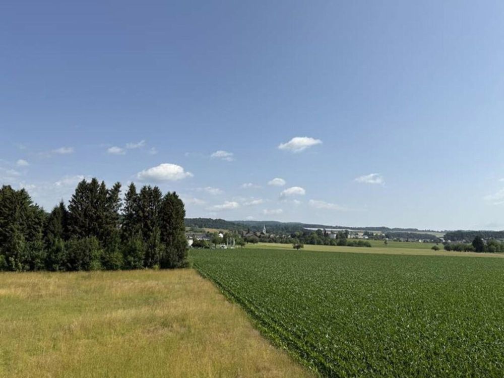 Schlüsselfertiger 5.5-Zi.-Neubau in Müllheim TG (Haus B) - Bild 9