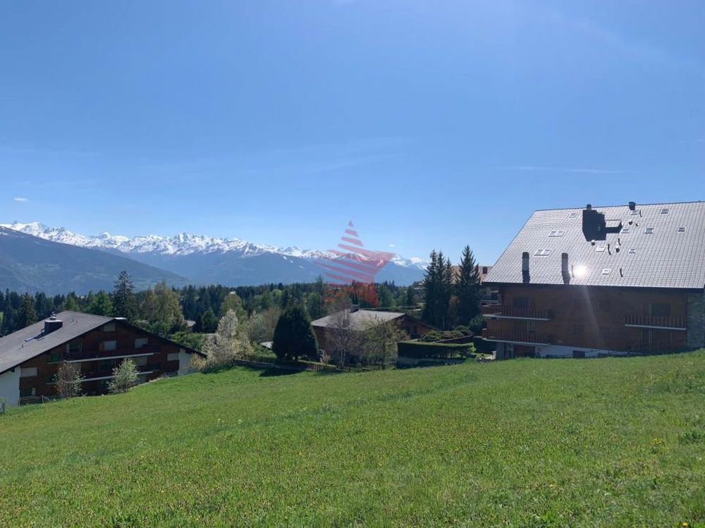 Das Domaine du Parc - 3,5 geräumige und helle Zimmer - Bild 7