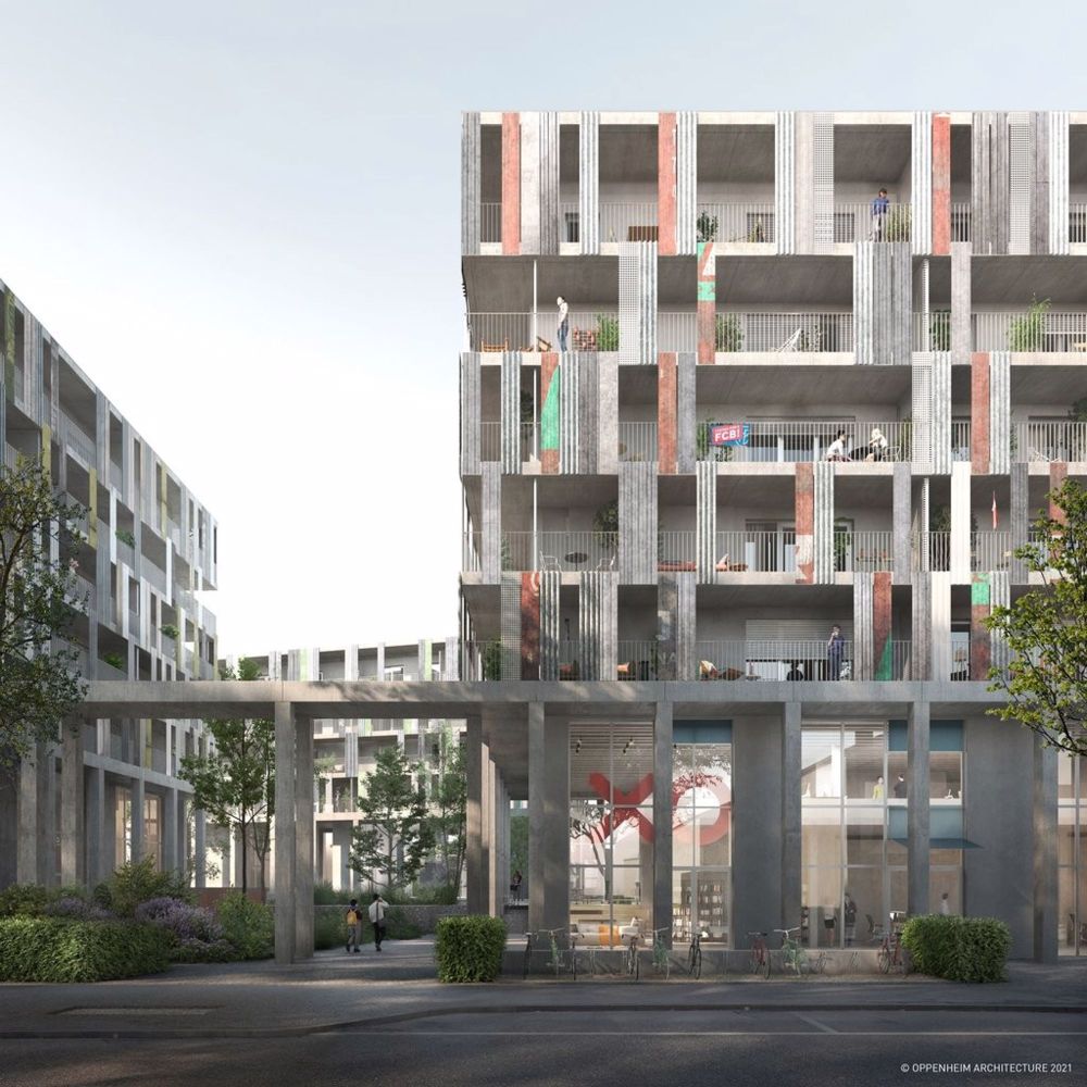 3 ½ Zimmer-Wohnung in Muttenz mieten - Bild 6