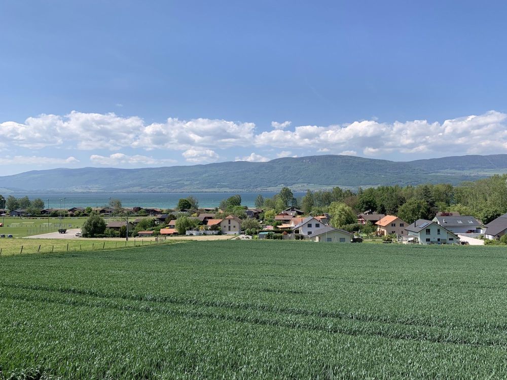 Moderne Villa mit 5.5 Zimmern *Magnifique Aussicht auf den See* - Bild 3