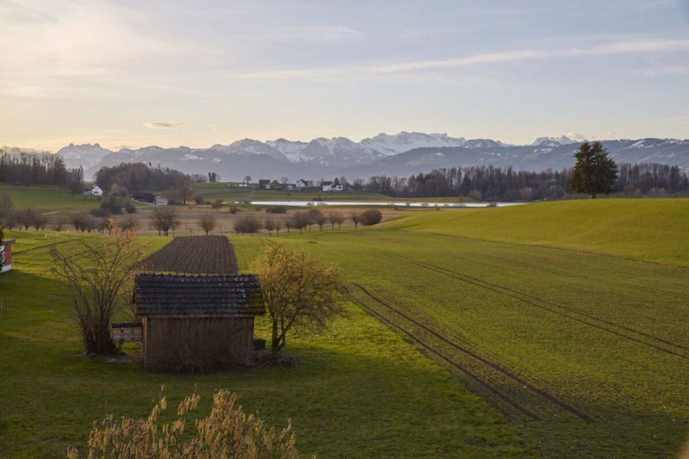 ERSTVERMIETUNG: 3.5 Zimmer-Wohnung im Erdgeschoss - Die Aussicht