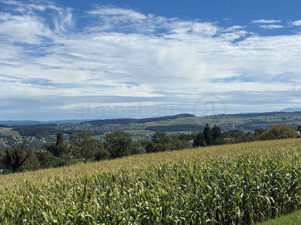 Exklusives, sonniges EFH mit Attika & individueller Ausstattung - Bild 9
