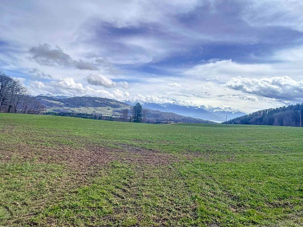 PROMOTION: Doppelhaus im Dorfcharme - Bild 6