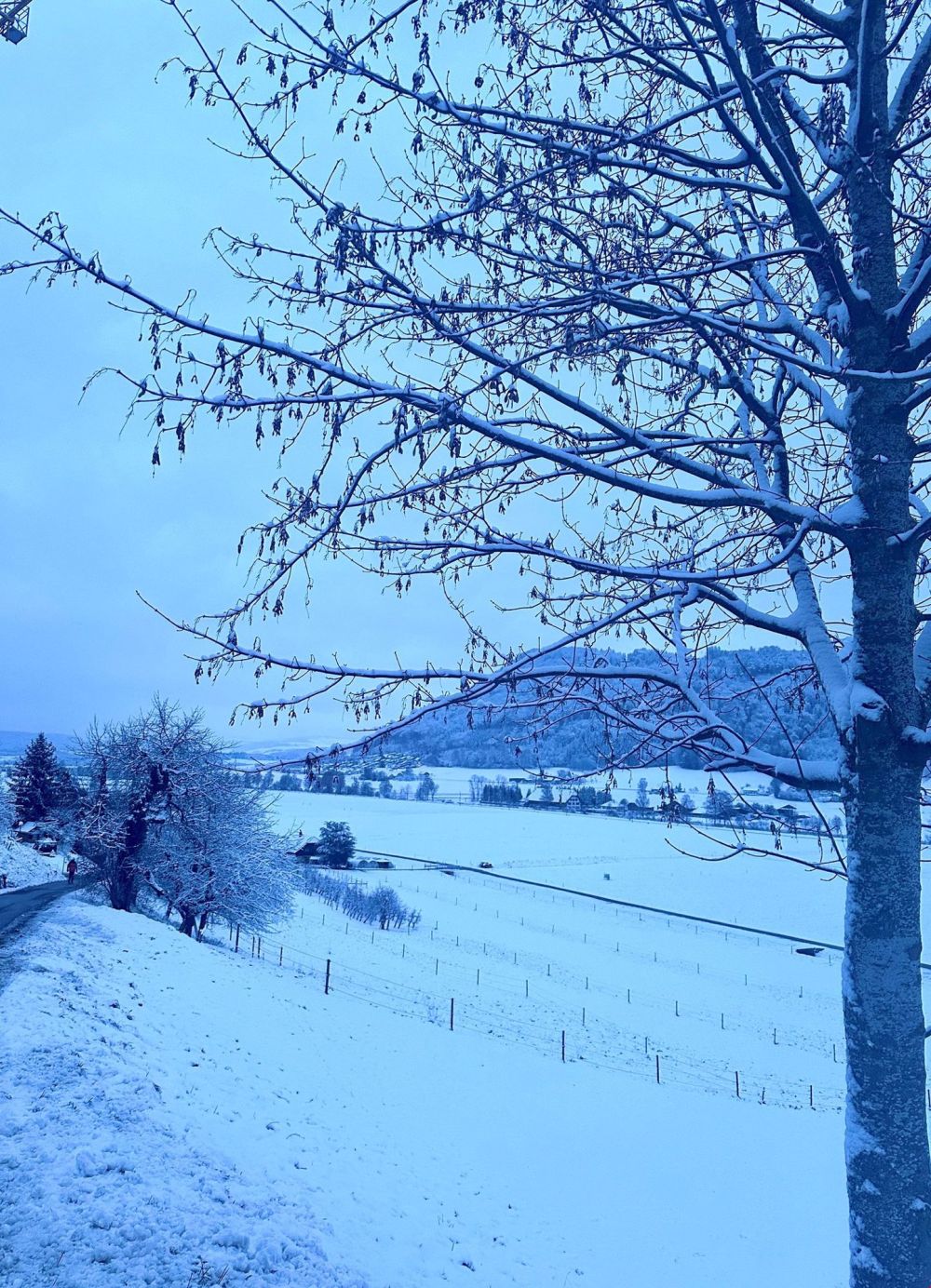 wunderschöner Ausblick ins morgendliche Winterwunderland