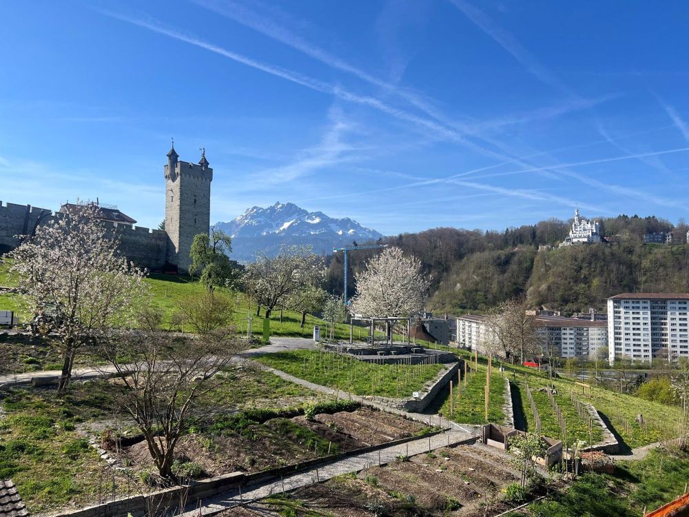 Exklusive 4.5 Zimmer-Attika-Neubauwohnungen in der Stadt Luzern - Bild 1