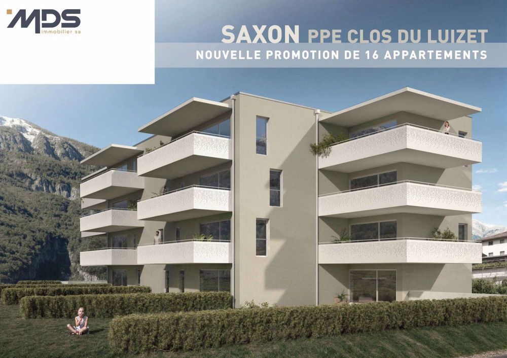 Wohnung im Erdgeschoss mit 3,5 Zimmern, Garage und Parkplatz in Saxon - Bild 1