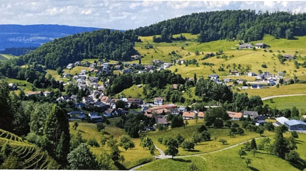 Neubau-Einfamilienhaus mit Carport und grossem Grundstück in Zullwil (SO) - Bild 3