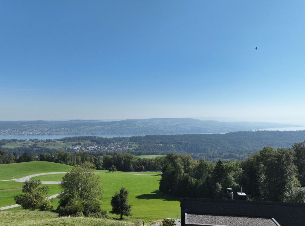 INFINITY LIVING ABOVE LAKE ZURICH - 4,5-Zimmer-Gartenwohnung - Bild 4