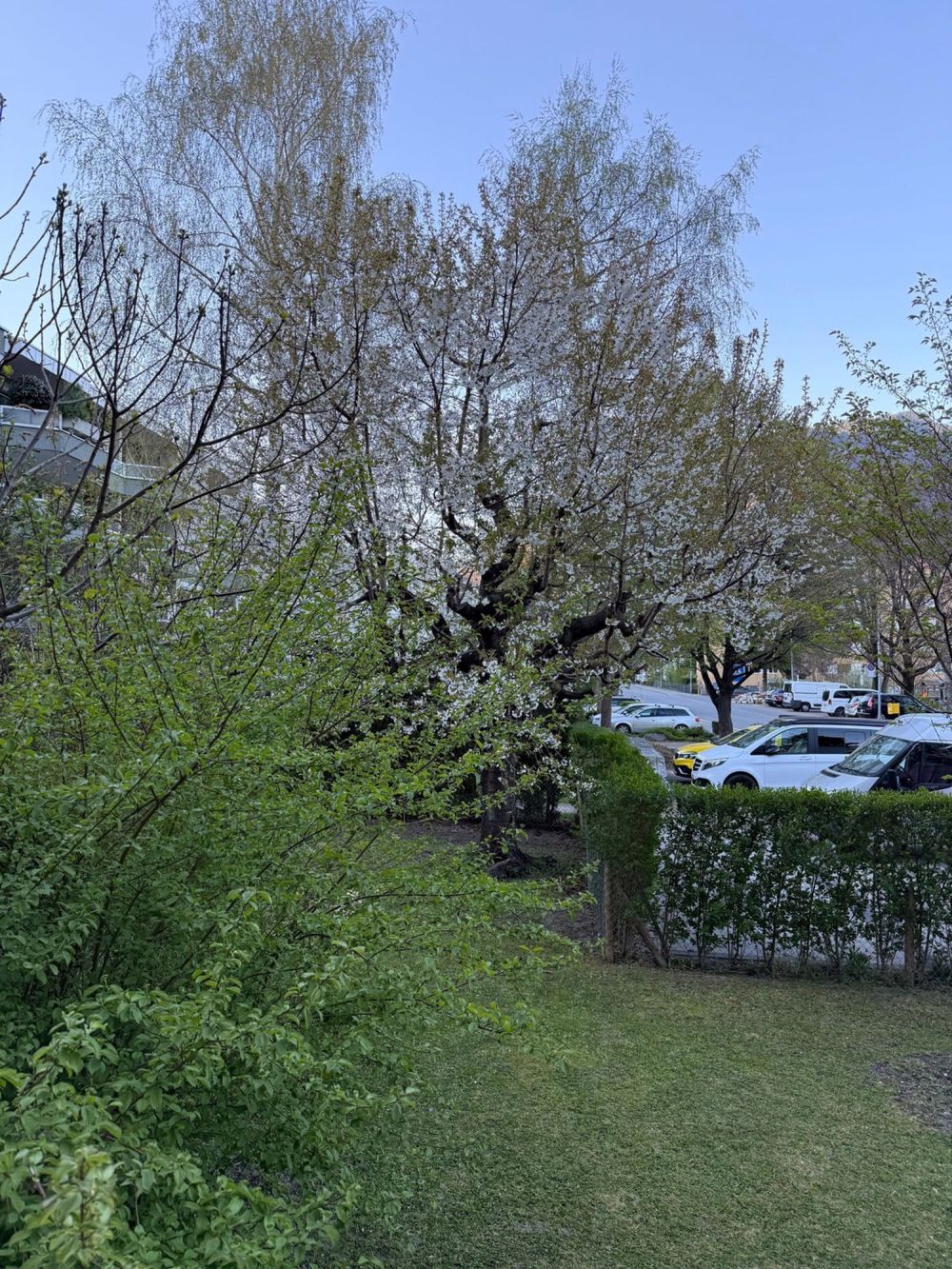 WG Zimmer in Chur mieten - Bild 6
