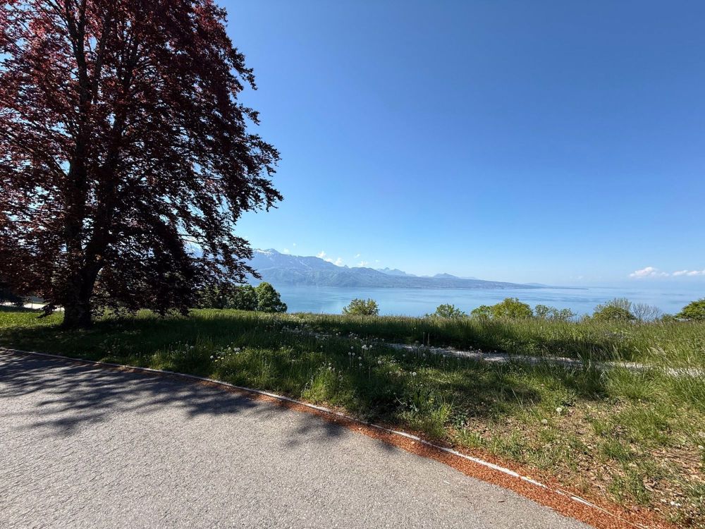 Magnifique appartement de 3,5 pièces à Puidoux - Bild 12
