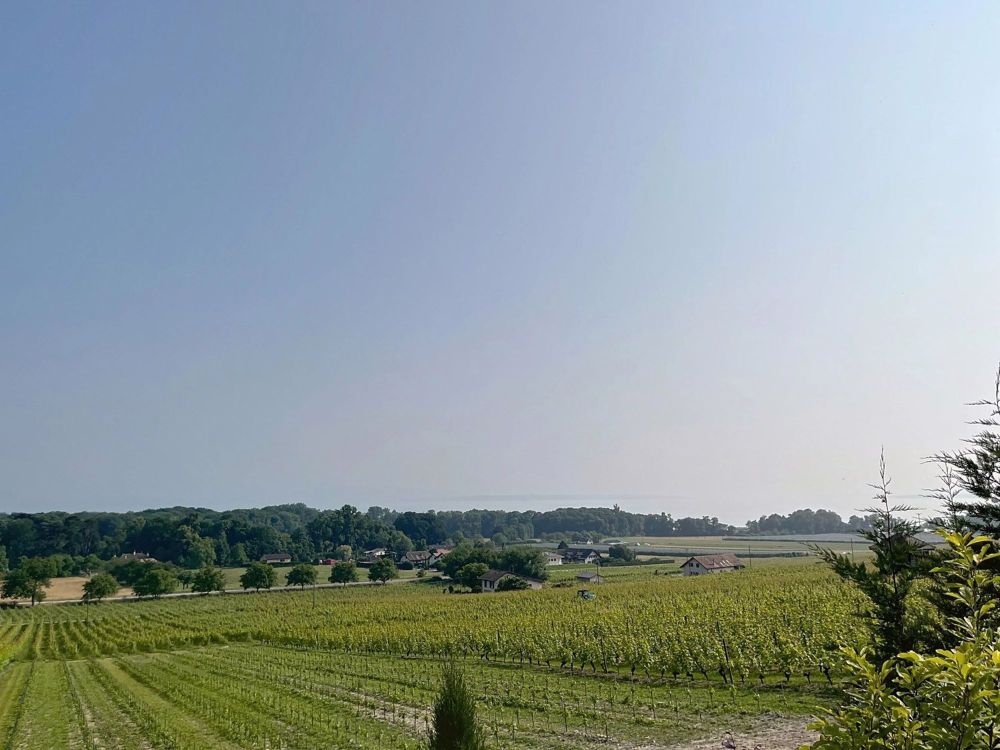 Exclusivité : Belle villa au coeur des vignobles - Bild 13