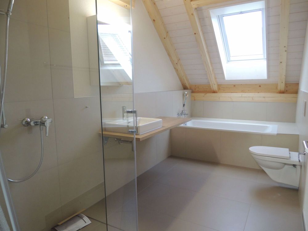 Generationenhaus (5.5 und 2.5 Zi. Wohnung) - Bild 3